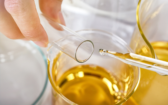 노화/산화방지제